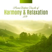 Asian Nature Sounds of Harmony & Relaxation 2019
