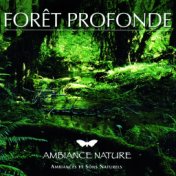 Ambiance Nature  Foret Profonde