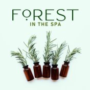 Forest in the Spa - Relaxing Music Therapy for Body, Healing Treatments, Nature Sounds, Relaxing Music Reduces Stress, Spa Zen S...
