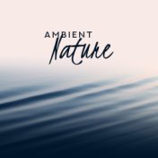 Ambient Nature – Calming Sounds for Relaxation, Sleep, Healing Music for Insomnia, Peaceful Noises, Nature Sounds at Night, Zen