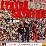 Lynyrd Skynyrd - Live in Wales
