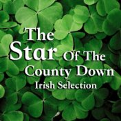 The Star Of The County Down Irish Selection