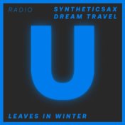 Leaves In Winter (Radio Edit)