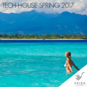 Tech-House Spring 2017