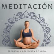 Meditación Prenatal y Colección de Yoga - Música Relajante para Prácticas de Meditación y Ejercicios de Yoga para Mujeres Embara...