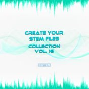Create Your Stem Files Collection, Vol. 16 (Instrumental Versions And Tracks With Separate Sounds)