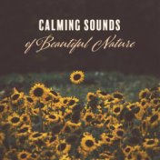 Calming Sounds of Beautiful Nature