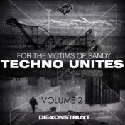 Techno Unites 'Victims of Sandy' Volume II