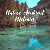 Nature Ambient Melodies: Sounds of Water, Ocean to Cure the Insomnia, Rainy Day, Calm Down, Good Sleep, Soothing Music, Bedtime ...