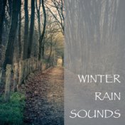 Winter Rain Sounds