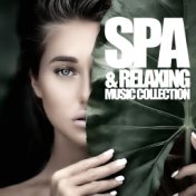 Spa & Relaxing Music Collection