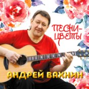 Андрей Вахнин