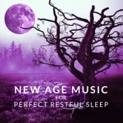 New Age Music for Perfect Restful Sleep