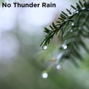 No Thunder Rain