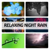 Relaxing Night Rain