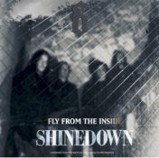 Fly From The Inside (Online Single)