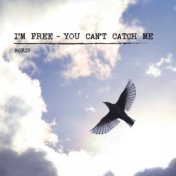 I'm Free - You Can't Catch Me