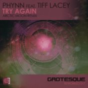 Try Again(Arctic Moon Remix)