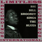 Big Bill Broonzy Sings The Blues