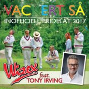 Vackert så (feat. Tony Irving) (Inofficiell Pridelåt 2017)