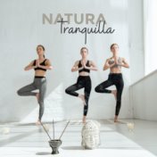 Natura tranquilla (Suoni ipnotici e rilassanti della natura per il relax)