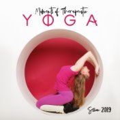 Moments of Therapeutic Yoga Session 2019