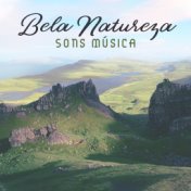 Bela Natureza Sons Música: 15 Melhores Músicas Relaxantes, Pássaros, Água, Ondas, Música Ambiente, Tempo de Relaxamento Profundo...