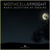 Mothcellar Night