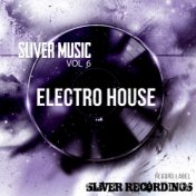 Sliver Music: Electro House, Vol.6