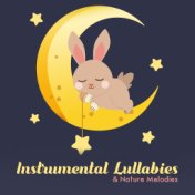 Instrumental Lullabies & Nature Melodies