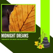 Midnight Dreams - Therapeutic Spa Music For Relaxation