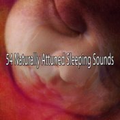 54 Naturally Attuned Sleeping Sounds