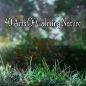 40 Acts Of Calming Nature