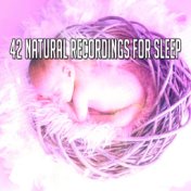 42 Natural Recordings For Sleep