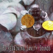 30 Regaining Sanity Sounds