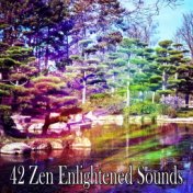 42 Zen Enlightened Sounds