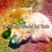 30 Naturally Recorded Bed Tracks