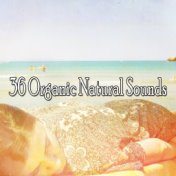 36 Organic Natural Sounds