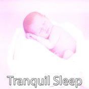 Tranquil Sleep