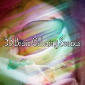 53 Brain Calming Sounds