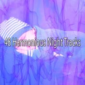 48 Harmonious Night Tracks