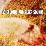 30 Calming And Sleep Sounds