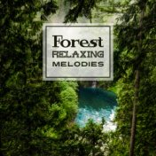 Forest Relaxing Melodies