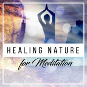 Healing Nature for Meditation – Soothing Sounds for Deep Relief, Anti Stress Music, Training Yoga, Delicate Water, Gentle Rain, ...