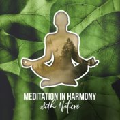 Meditation in Harmony with Nature