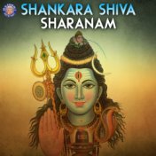 Shankara Shiva Sharanam