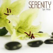 Serenity Spa Music for Relaxation Meditation - Serenity Relaxing Spa Music, Piano Music and Sounds of Nature Music for Relaxatio...
