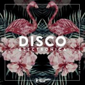 Disco Electronica, Vol. 31