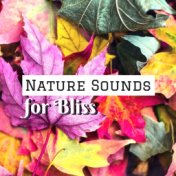 Nature Sounds for Bliss - Sound Therapy for Mind Power, Music for Deep Relaxation