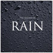Rain - The Sound of Rain